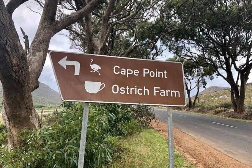 A directional sign with arrows pointing left for Cape Point and right for Ostrich Farm. 3