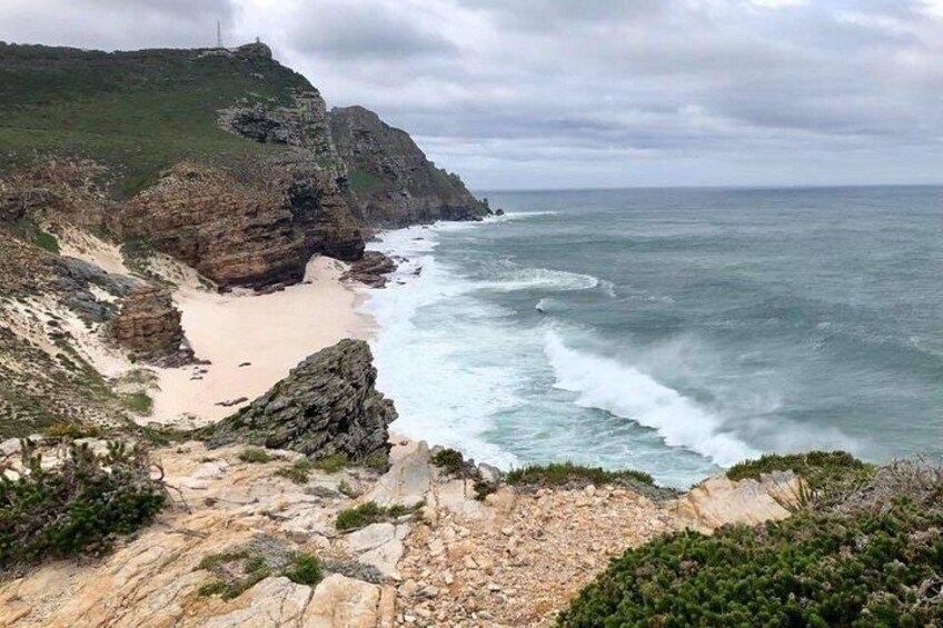 Table Mountain, Boulders Penguins and Cape point Day Tour 3