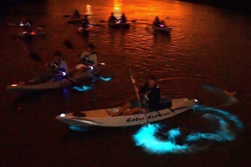 You and your friends will light up the night on your bioluminescent kayak tour with Fin Expeditions
5