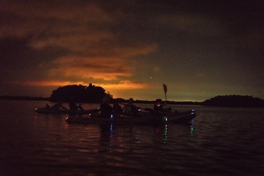 Cocoa Beach bioluminescence kayak tour with Fin Expeditions. 4