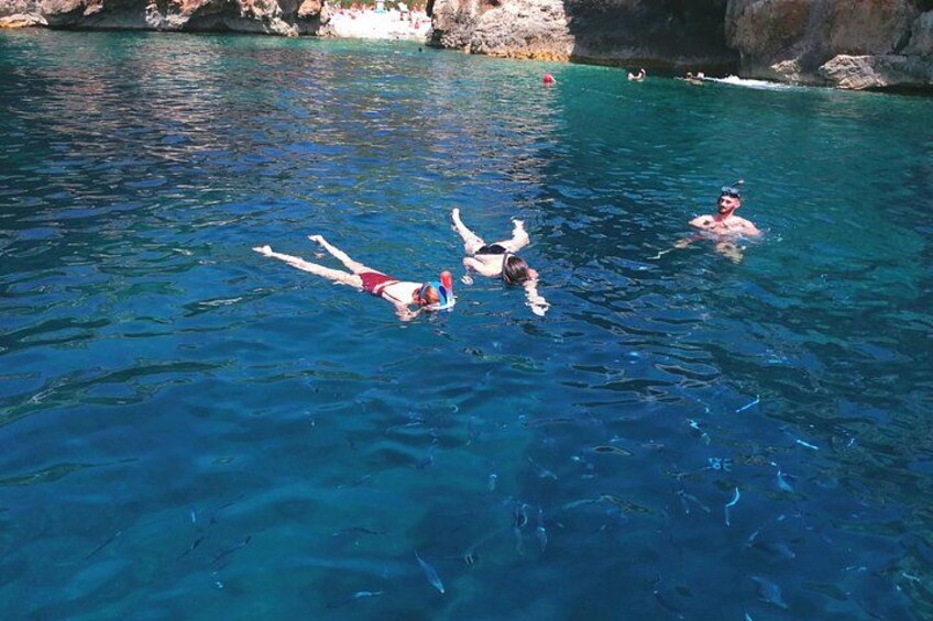 Snorkeling with fish 4