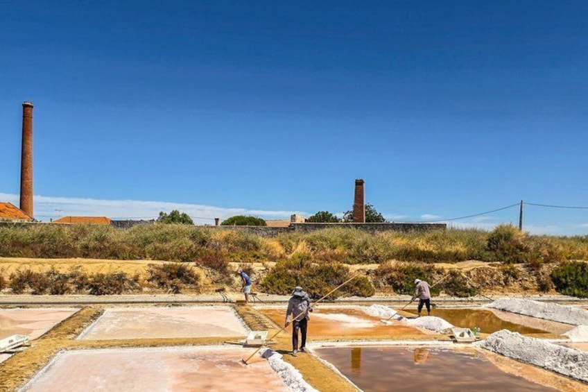Tavira Tuk Tuk Tour: Historic Center & Wine Tasting 3
