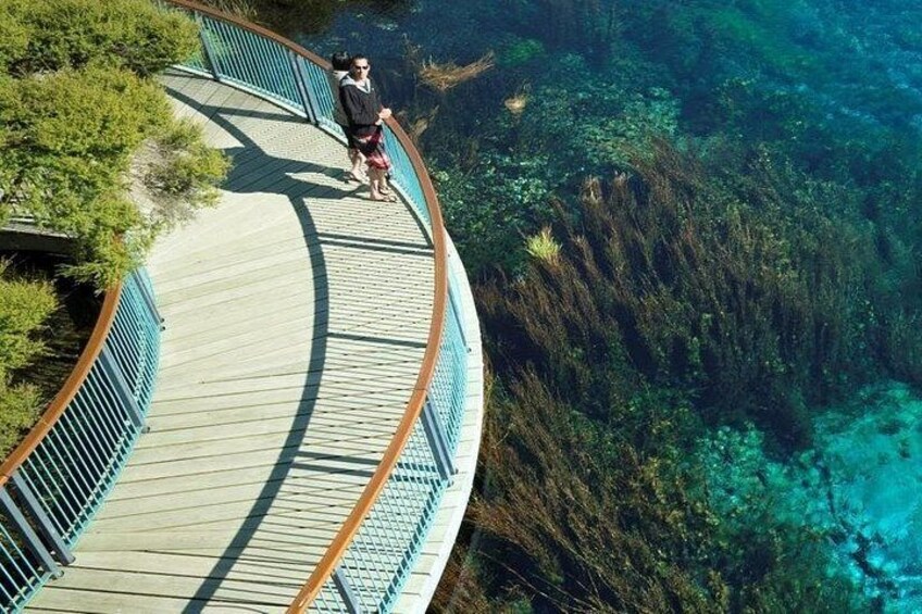 Romantic Private tour in Tauranga 1