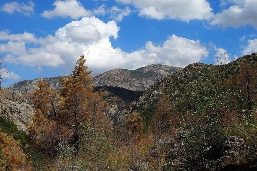 Eine Berglandschaft mit Herbstlaub, felsigem Gelände und blauem Himmel. 4