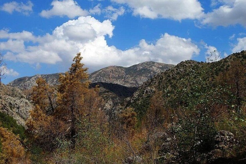 Eine Berglandschaft mit Herbstlaub, felsigem Gelände und blauem Himmel. 3