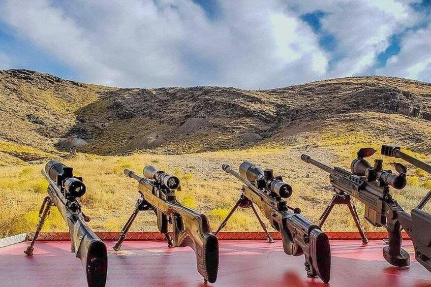 Sniper Rifles 5
