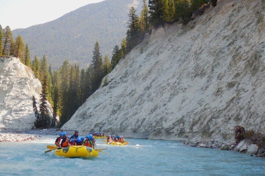 Whitewater Rafting on Kootenay River - Half Day 4