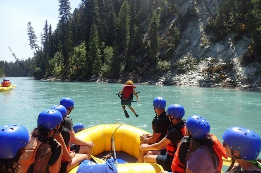 Whitewater Rafting on Kootenay River - Half Day 5