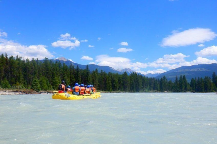 Whitewater Rafting on Kootenay River - Half Day 3