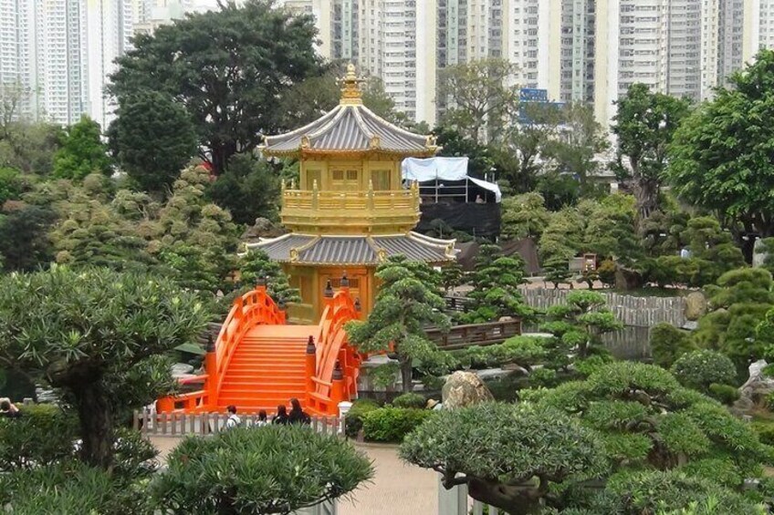 Private Full Day Kowloon District Sightseeing Tour 