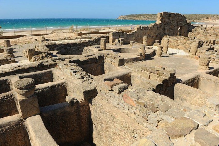Baelo Claudia and Tarifa 2