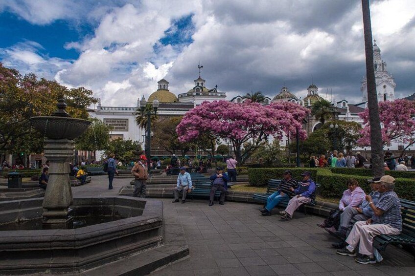 Quito Half Day PRIVATE City tour 2