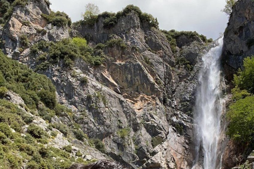 A waterfall cascading down a rocky cliff surrounded by greenery. 4