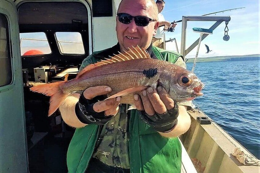 Deep sea fishing Galway Bay. Galway. Private guided. Full / half day.