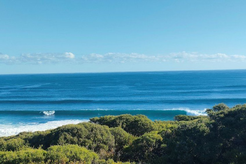 Un paisaje costero con olas del océano, vegetación verde exuberante y un cielo azul despejado. 2