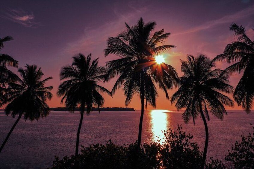 Sunset Cruise and Night Fishing in Dhiffushi