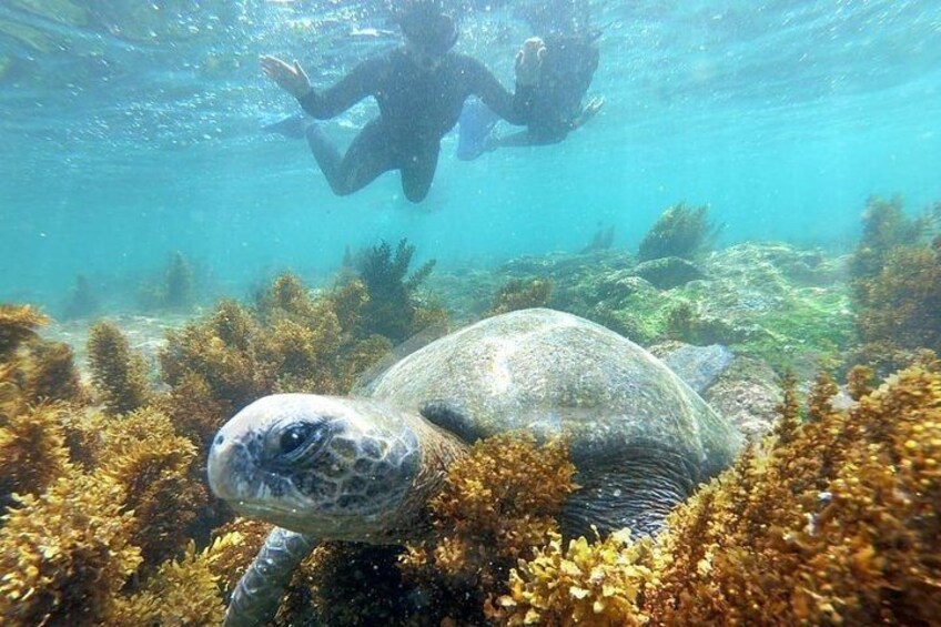 2 Days - Isabela Island Fast Visit 2