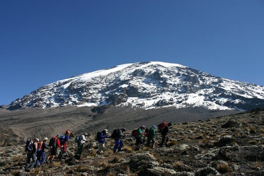 Eine Gruppe Wanderer besteigt einen schneebedeckten Berg. 1