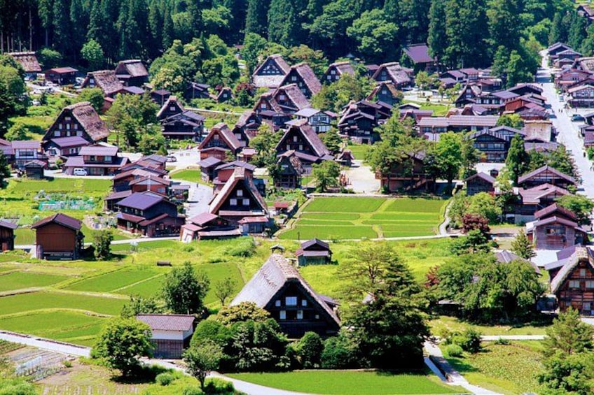 A village with traditional houses, green fields, and dense forest in the background. 2