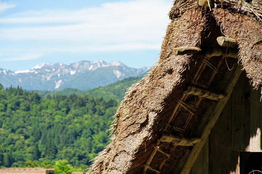 A traditional thatched-roof house with a wooden ladder, set against a backdrop of a forested mountain range. 4