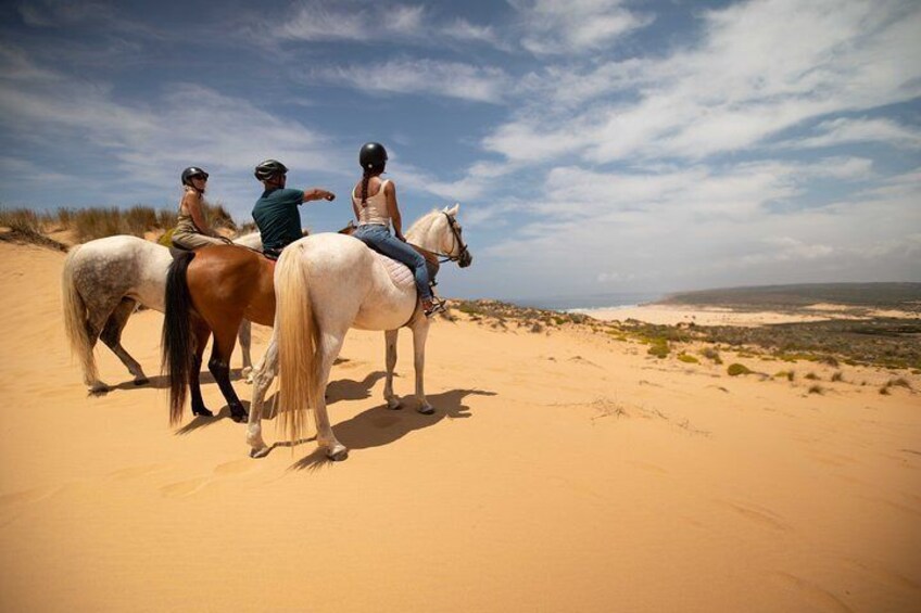 Welcome to Carrapateira Horse Riding Tour