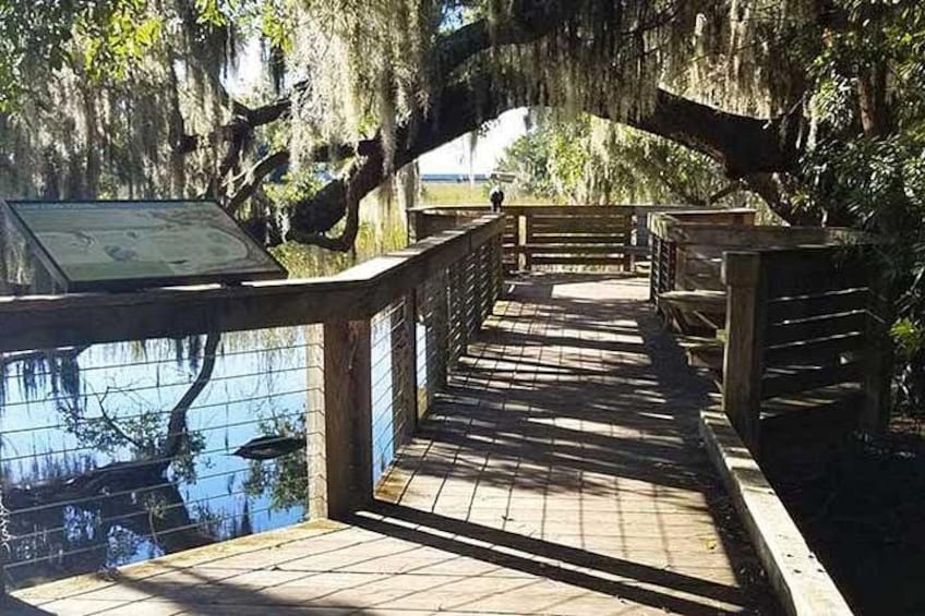 View amazing marsh side vistas 2