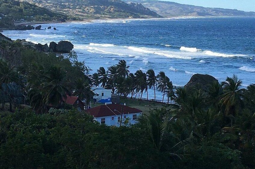 A coastal landscape with a house, palm trees, and ocean waves. 3