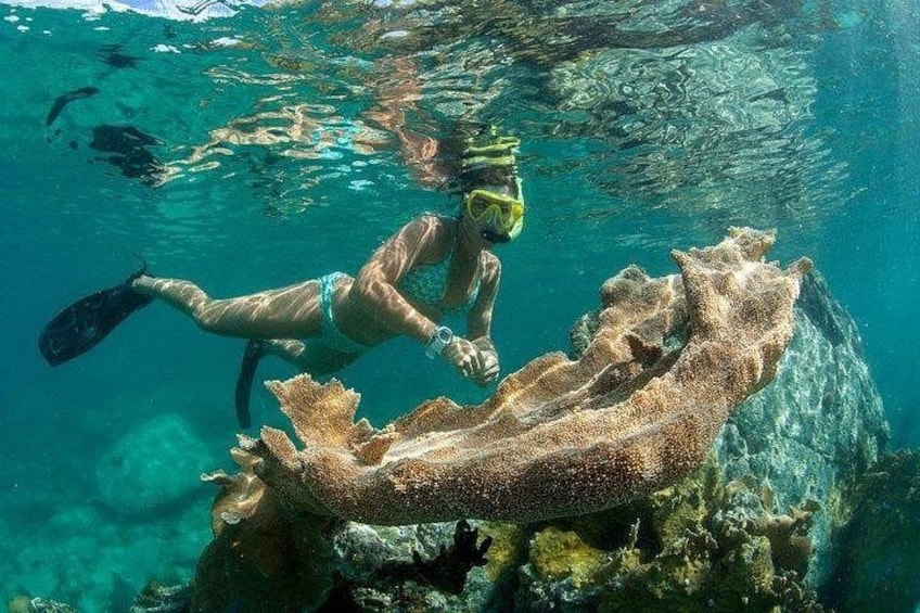 Snorkeling 3