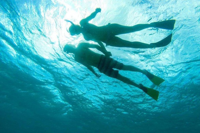 Snorkeling 2