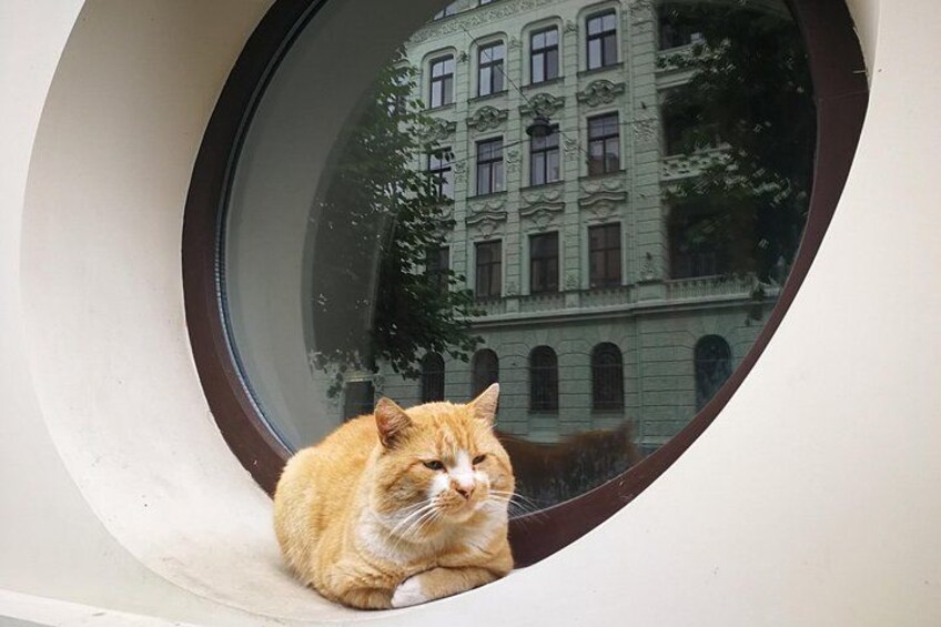 Art Nouveau reflection with a cat 2