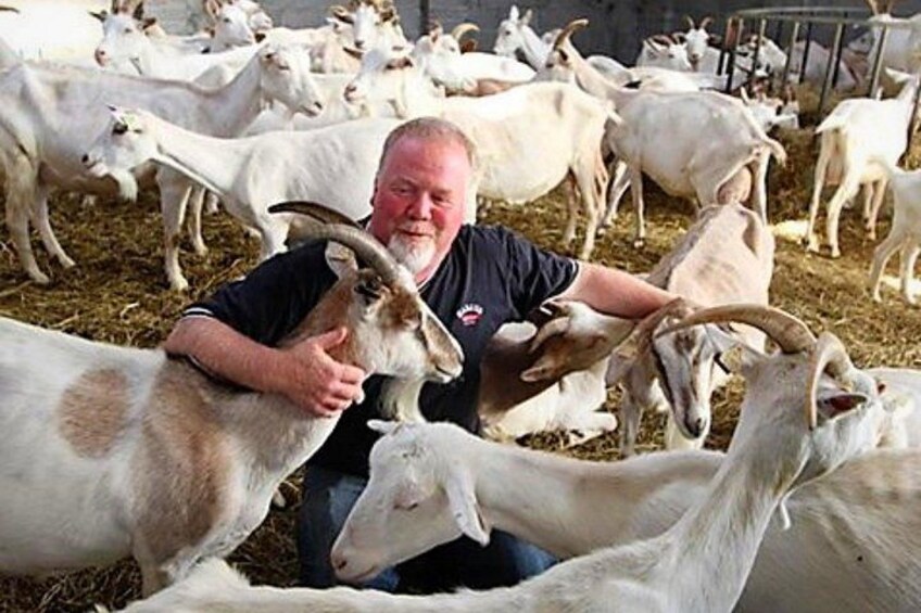 En person interagerer med geder i en indhegning. 3