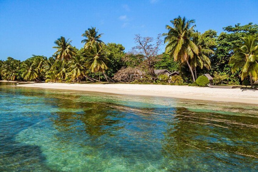 A beach with clear turquoise water, palm trees, and a sandy shore. 3