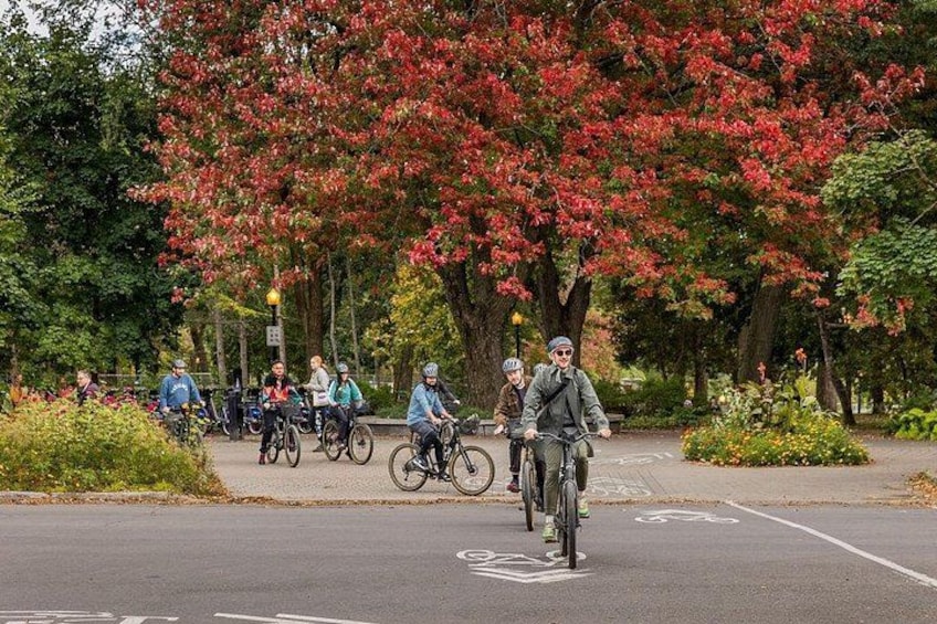 Bike / E-bike tour : Plateau, Mile-End, Jean-Talon Market by Fitz 1
