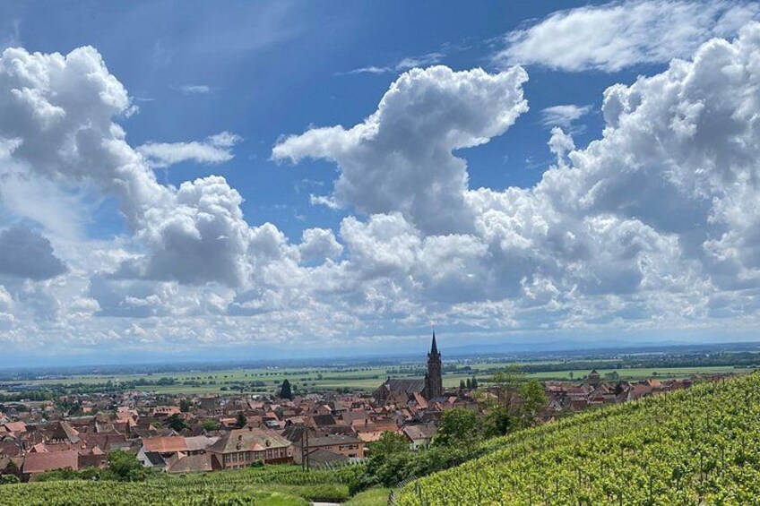 A town with a prominent church spire, vineyards, and a clear blue sky with clouds. 2