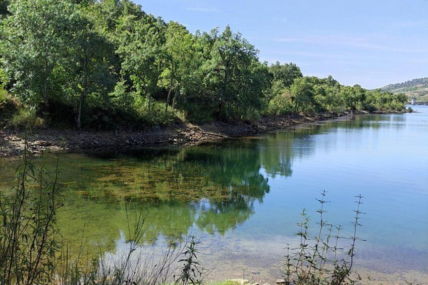 Un río tranquilo con aguas transparentes que reflejan la vegetación y los árboles circundantes. 2