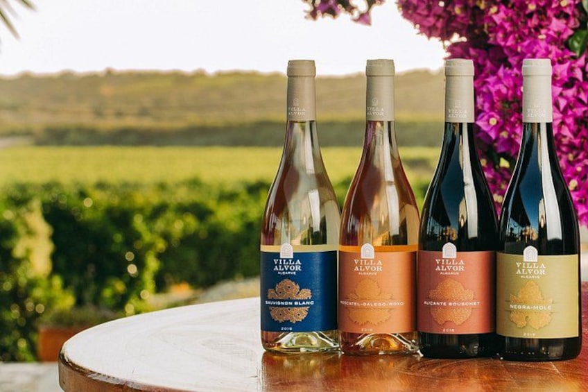 Cuatro botellas de vino sobre una mesa con viñedos al fondo. 1
