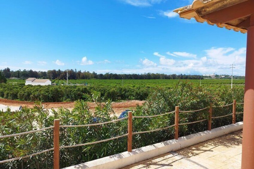 Wine Tasting & Tapas 4x4 Tours 3