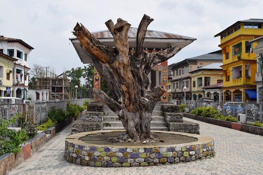 Romantic tour in Gelephu 1