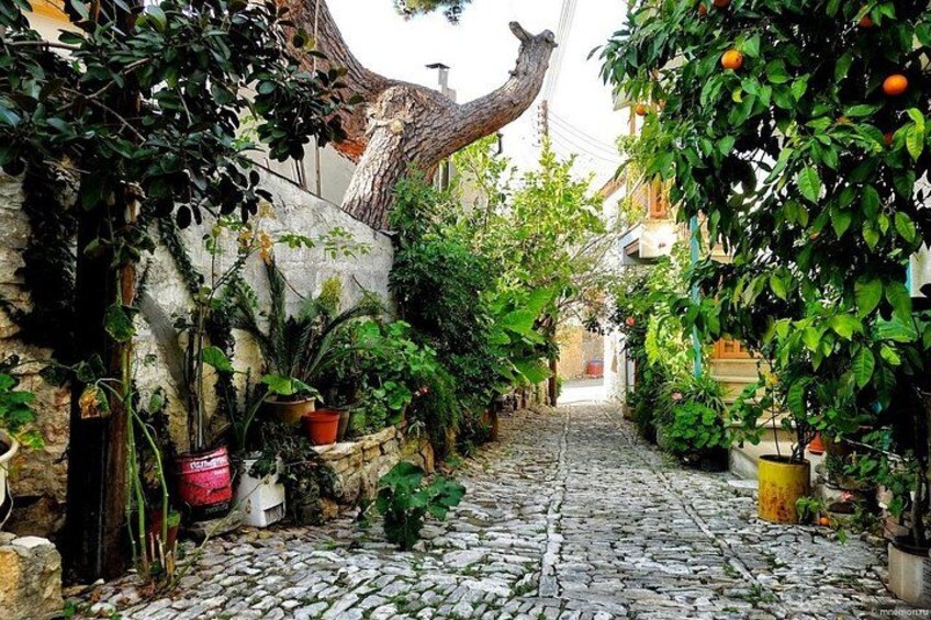 Laneia 3