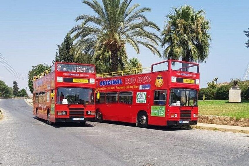 Two red double-decker buses parked on a road with palm trees in the background. 1