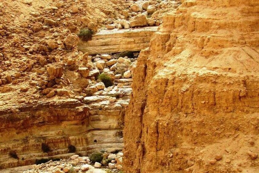 Een canyon met gelaagde rotsformaties en een beekje. 2