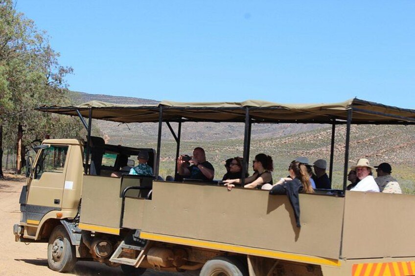 Safari time 1