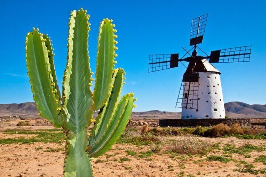 Romantic Fuerteventura Stroll: Historic Sites & Seaside Walks