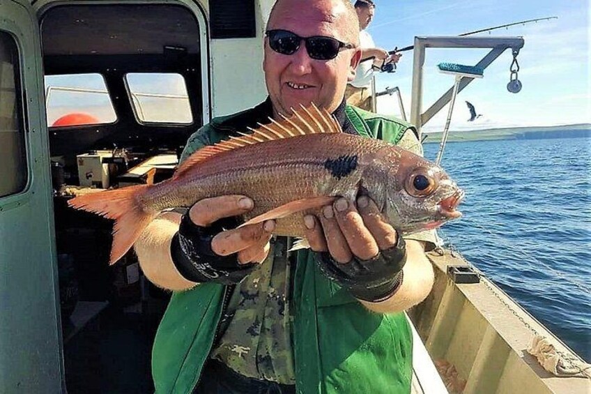 Deep sea fishing from Inisheer, Aran Islands. Galway. Private guided. 5 hours. 1