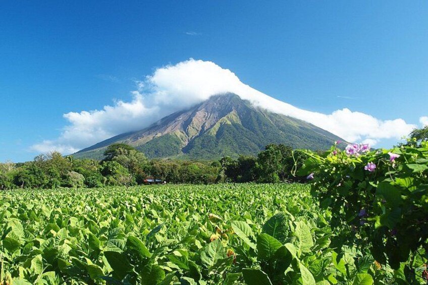 The Best of Matagalpa Private Walking tour 2