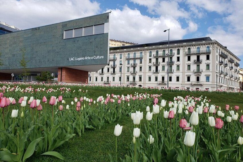 Ein Gebäude mit der Beschilderung 'LAC Lugiano Arte e Cultura', umgeben von einem Feld mit rosa und weißen Tulpen. 5