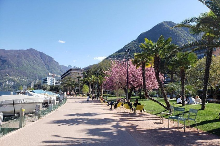 Eine Uferpromenade mit Booten, Palmen und Spaziergängern. 2