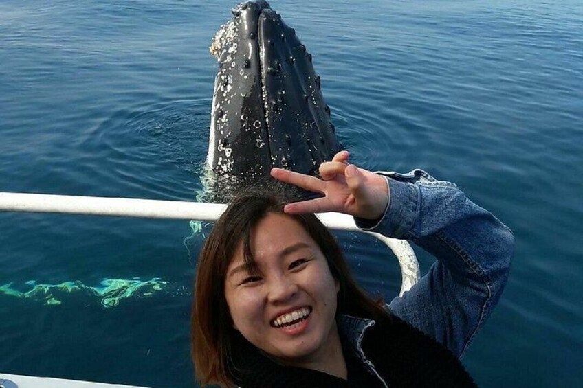 A person on a boat with a whale in the background. 5