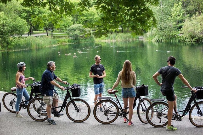 Bike / E-bike Tour : Downtown, Old Montreal, Waterfront by Fitz 5