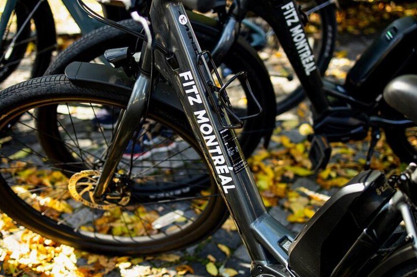 Een detailfoto van een fiets met de merknaam 'FITZ MONTREAL' op het frame. 3